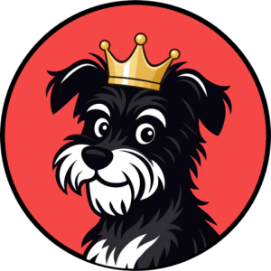Spotlight Partner
